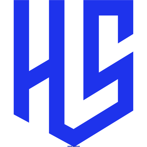 HaxSoft Kurumsal Firma